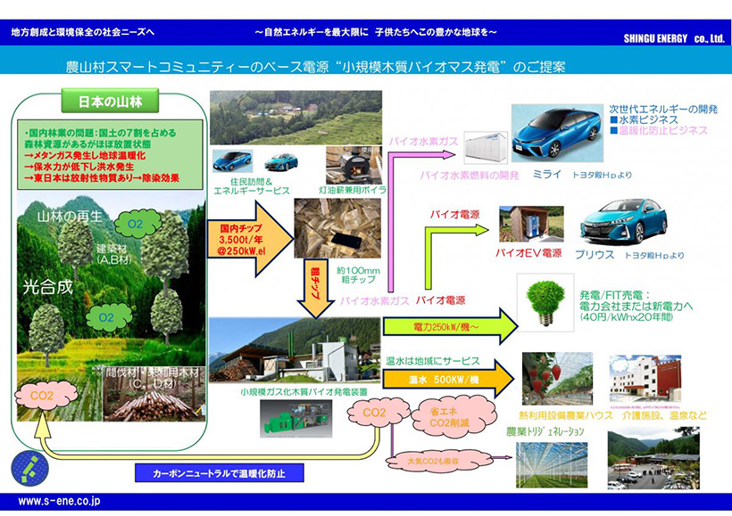 小規模木質バイオマス発電の事業性